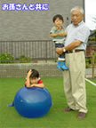 写真